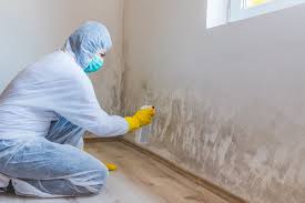 Professional Mold Removal in Roanoke, IL