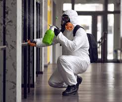 Why You Should Choose Our Mold Remediation Services in Roanoke, IL